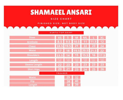 Shamaeel Ansari Pret Formal Silk 2 Piece Suit NUR-01