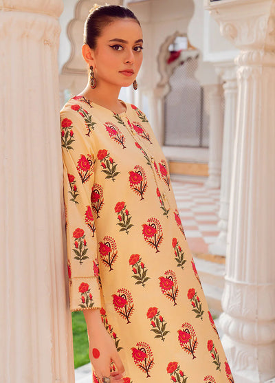 Chandan Nagri Pret Printed Lawn 2 Piece Suit Mahvi