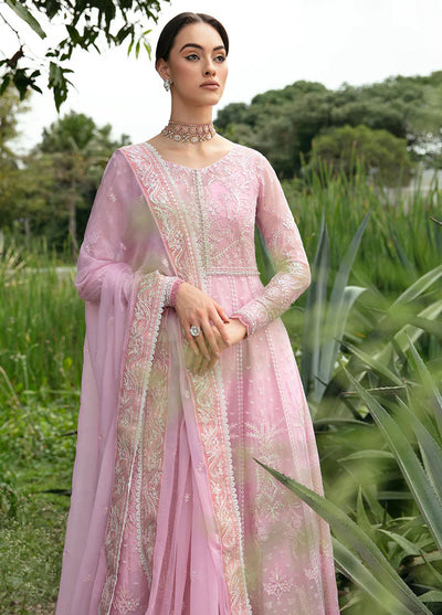 Chant D lAmour by Gulaal Embroidered Chiffon Eid Collection 2024 D-01 Amour