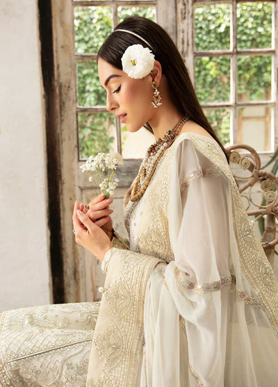 Chant D lAmour by Gulaal Embroidered Chiffon Eid Collection 2024 D-04 Asteria