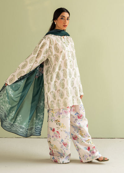 Coco by Zara Shahjahan Prints Unstitched Summer Collection 2025 D 6B-Paisley