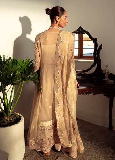 Dastaan By Neeshay Luxury Chiffon Collection 2024 Naaz