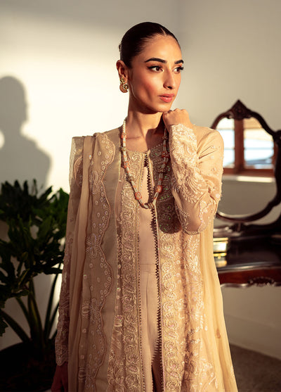 Dastaan By Neeshay Luxury Chiffon Collection 2024 Naaz