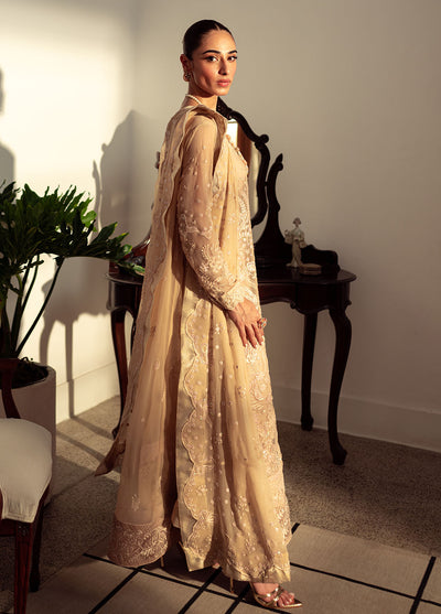 Dastaan By Neeshay Luxury Chiffon Collection 2024 Naaz