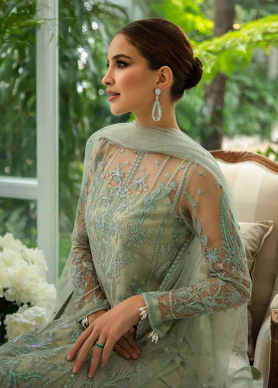 Dastaan By Meeral Unstitched Formals Collection 2024 Wafa