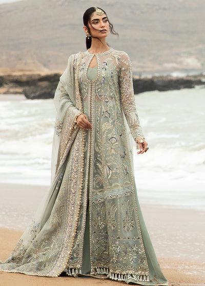 Dastangoi by Afrozeh Wedding Formals Collection 2024 AWE-08 Shanzay