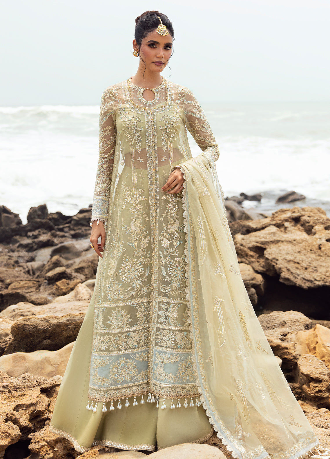 Dastangoi by Afrozeh Wedding Formals Collection 2024 AWE-09 Leela