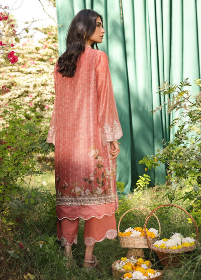 Dhanak Pret Embroidered Munar 2 Piece Suit DHK23M DA-2130 RUST