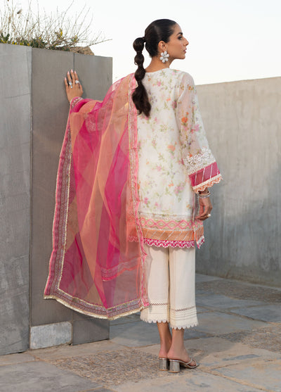 Dhanak Pret Embroidered 2 Piece Suit SS24DA-2291 L-PINK