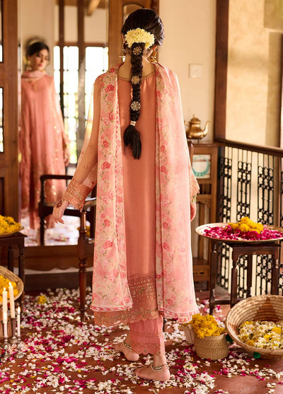 Dhanak Pret Embroidered Chiffon 2 Piece Suit SS24DA-2366 Rust