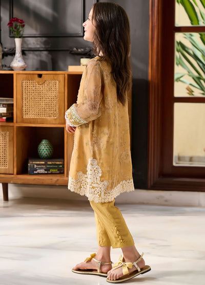 Dhanak Pret Embroidered Khaadi Net 2 Piece Suit SS24DK-0165 Mustard