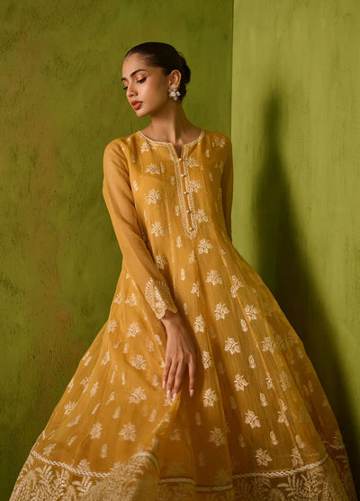 Dhanak Pret Embroidered Khaadi net 2 Piece Suit SS24DA-2479