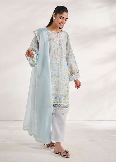 Dhanak Pret Embroidered Munar 2 Piece Suit SS24DA-2585