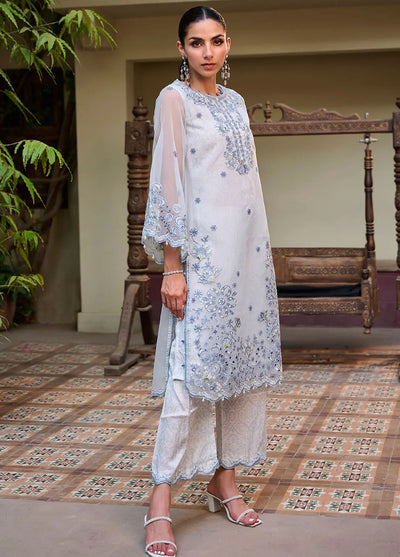 Dhanak Pret Embroidered Organza 2 Piece Suit SS24DA-2351