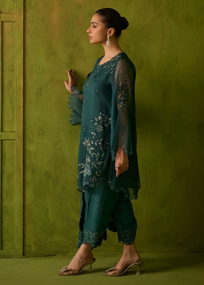 Dhanak Pret Embroidered Organza 2 Piece Suit SS24DA-2478