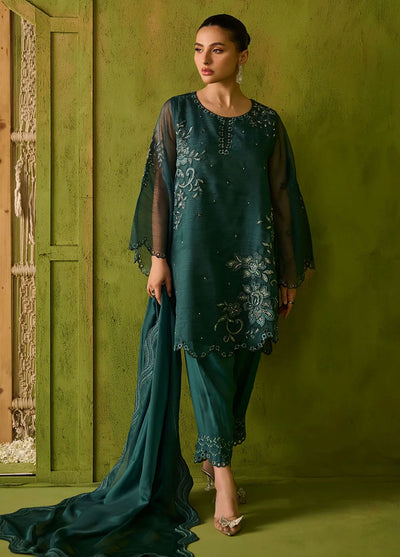 Dhanak Pret Embroidered Organza 2 Piece Suit SS24DA-2478