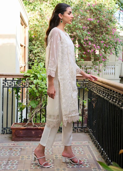 Dhanak Pret Embroidered Organza Kurti SS24DA-1876