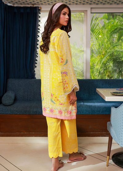 Dhanak Pret Printed Lawn 2 Piece Suit SS24DC-2524