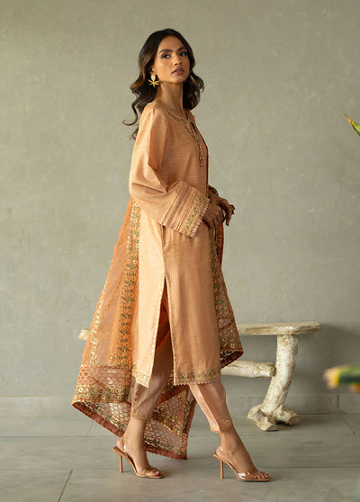 Dhanak Pret Embroidered 2 Piece Suit SS24DA-2293 LIGHT PINK