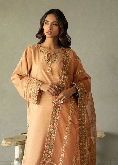 Dhanak Pret Embroidered 2 Piece Suit SS24DA-2293 LIGHT PINK