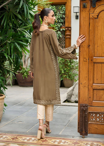 Dhanak Pret Embroidered Velvet Kurti DA-1861 GREY