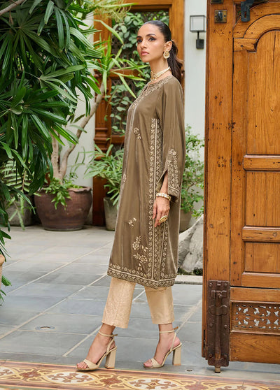 Dhanak Pret Embroidered Velvet Kurti DA-1861 GREY