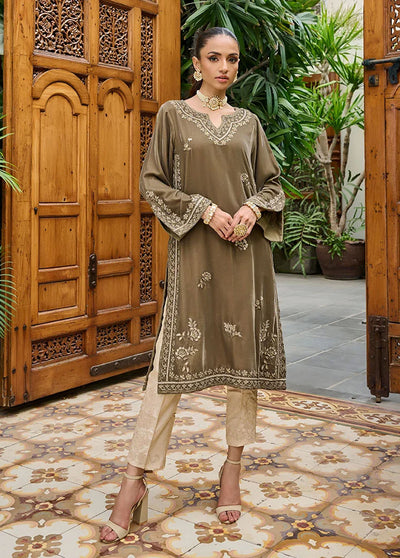 Dhanak Pret Embroidered Velvet Kurti DA-1861 GREY