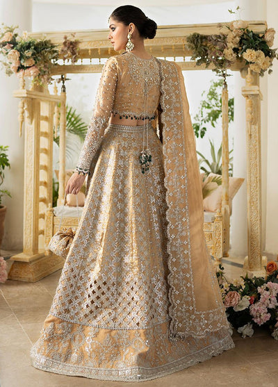 Dilnaaz By Qalamkar Wedding Formals Collection 2023 DN-1 Imaan