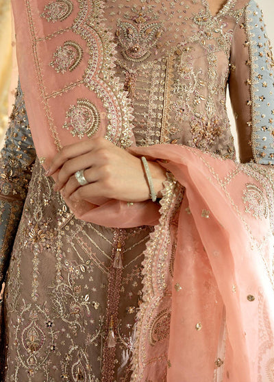 Dilnaaz By Qalamkar Wedding Formals Collection 2023 DN-8 Inaya