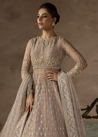 Elysee by Imran Ramzan Embroidered Net Suits Unstitched 3 Piece IR25EF Petal de Soi