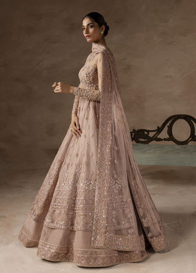 Elysee by Imran Ramzan Embroidered Net Suits Unstitched 3 Piece IR25EF Reve de Rose