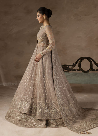 Elysee by Imran Ramzan Embroidered Net Suits Unstitched 3 Piece IR25EF Petal de Soi