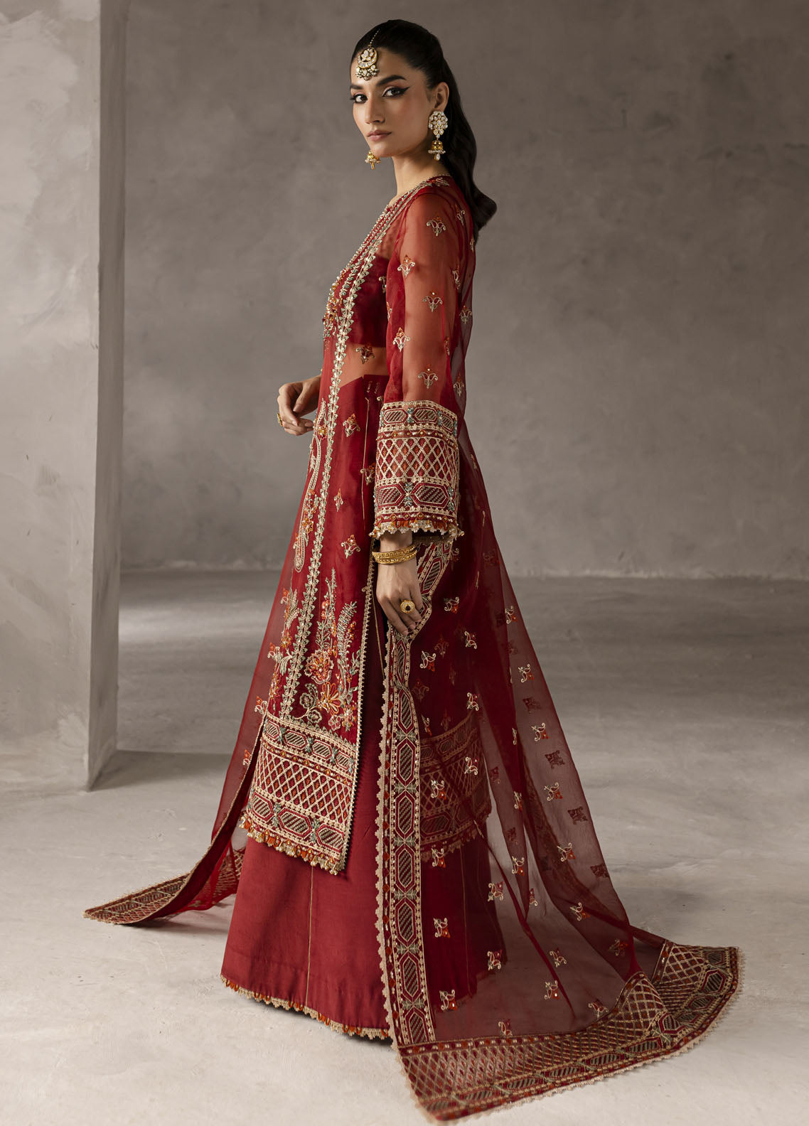 Elysee by Imran Ramzan Embroidered Organza Suits Unstitched 3 Piece IR25EF Pivione Ecarlate