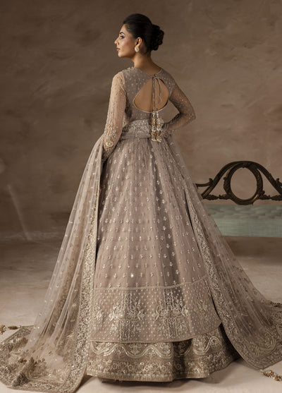 Elysee by Imran Ramzan Embroidered Net Suits Unstitched 3 Piece IR25EF Petal de Soi