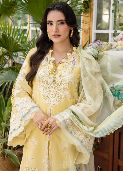 Elaf Chikankari Lawn Suits Unstitched 3 Piece EEC - 2B Butter Bloom