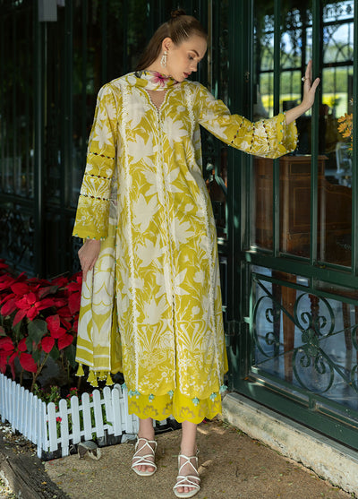 Prints by Elaf Printed Lawn Collection 2025 EPE-08 B