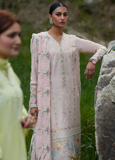 Elan Unstitched Lawn Collection 2024 D-05B Neziha