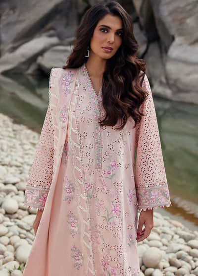 Elan Unstitched Lawn Collection 2024 D-09A Aireen