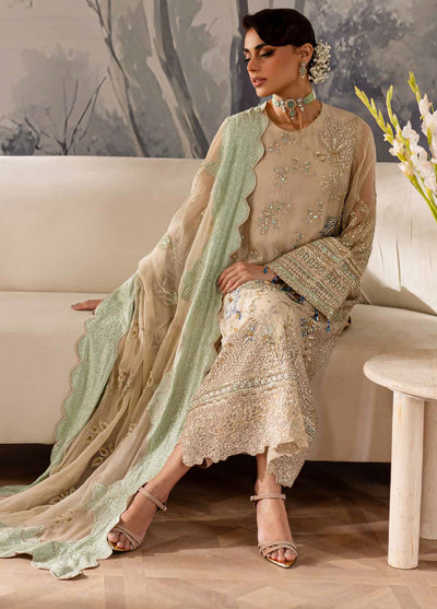 Elanora By Nureh Unstitched Chiffon Luxury Collection 2024 NEL-58
