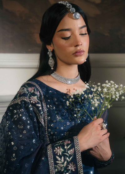 Elanora by Nureh Luxury Unstitched Chiffon Collection 2024 NEL-60