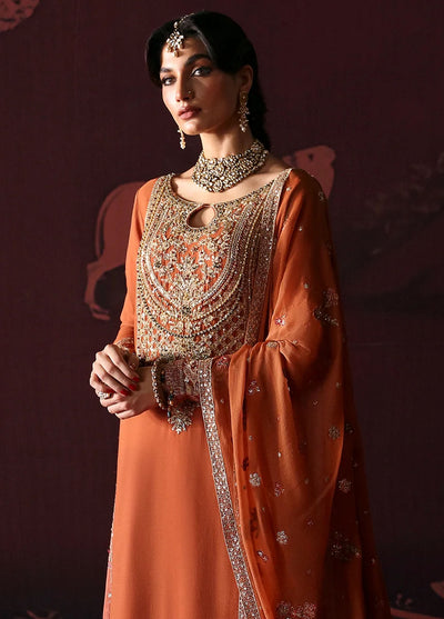 Devdas by Emaan Adeel Exquisite Formal Wear Collection 2024 Leela