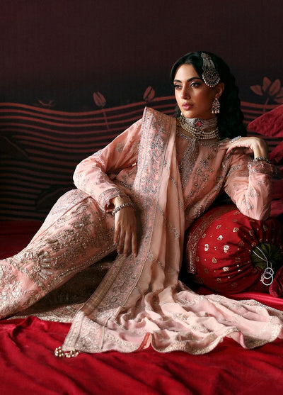 Devdas by Emaan Adeel Exquisite Formal Wear Collection 2024 Nisha