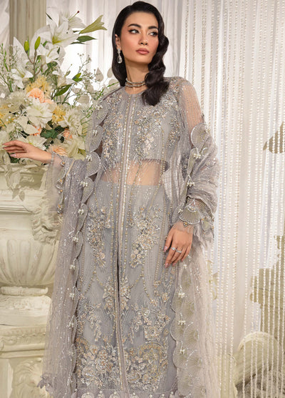 Evara By Elaf Embroidered Net Suit Unstitched 3 Piece EF24EF EFE-04 Dove - Formal Collection