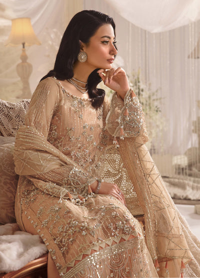 Evara By Elaf Embroidered Net Suit Unstitched 3 Piece EF24EF EFE-06 Zyva - Formal Collection