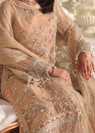 Evara By Elaf Embroidered Net Suit Unstitched 3 Piece EF24EF EFE-06 Zyva - Formal Collection