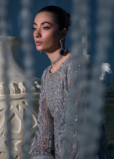 Evara By Elaf Embroidered Net Suit Unstitched 3 Piece EF24EF EFE-08 Nirvana - Formal Collection