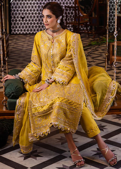 Fasana-e-Ishq By Asim Jofa Eid Luxury Lawn Collection 2024 AJFI-29