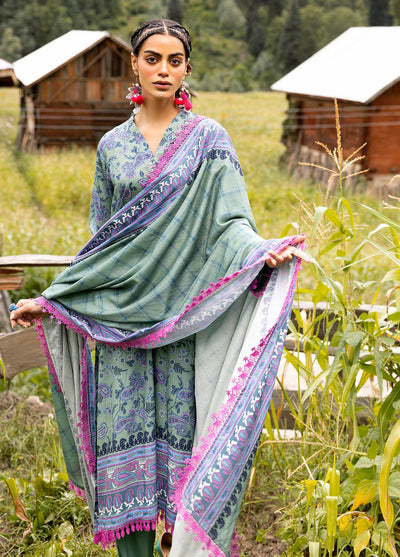 Gul Ahmed Printed Linen Suits Unstitched 3 Piece GA24UW LT-42002 - Winter Collection