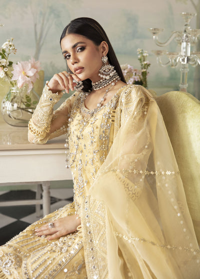 Gulaal Pret Luxury Organza 4 Piece Suit GL-LP-V2-10 Aniya