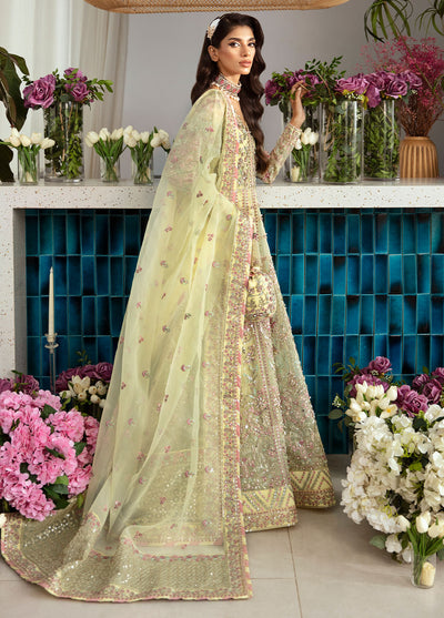 Gulaal Pret Embroidered Organza 3 Piece Suit LP-35 Noura